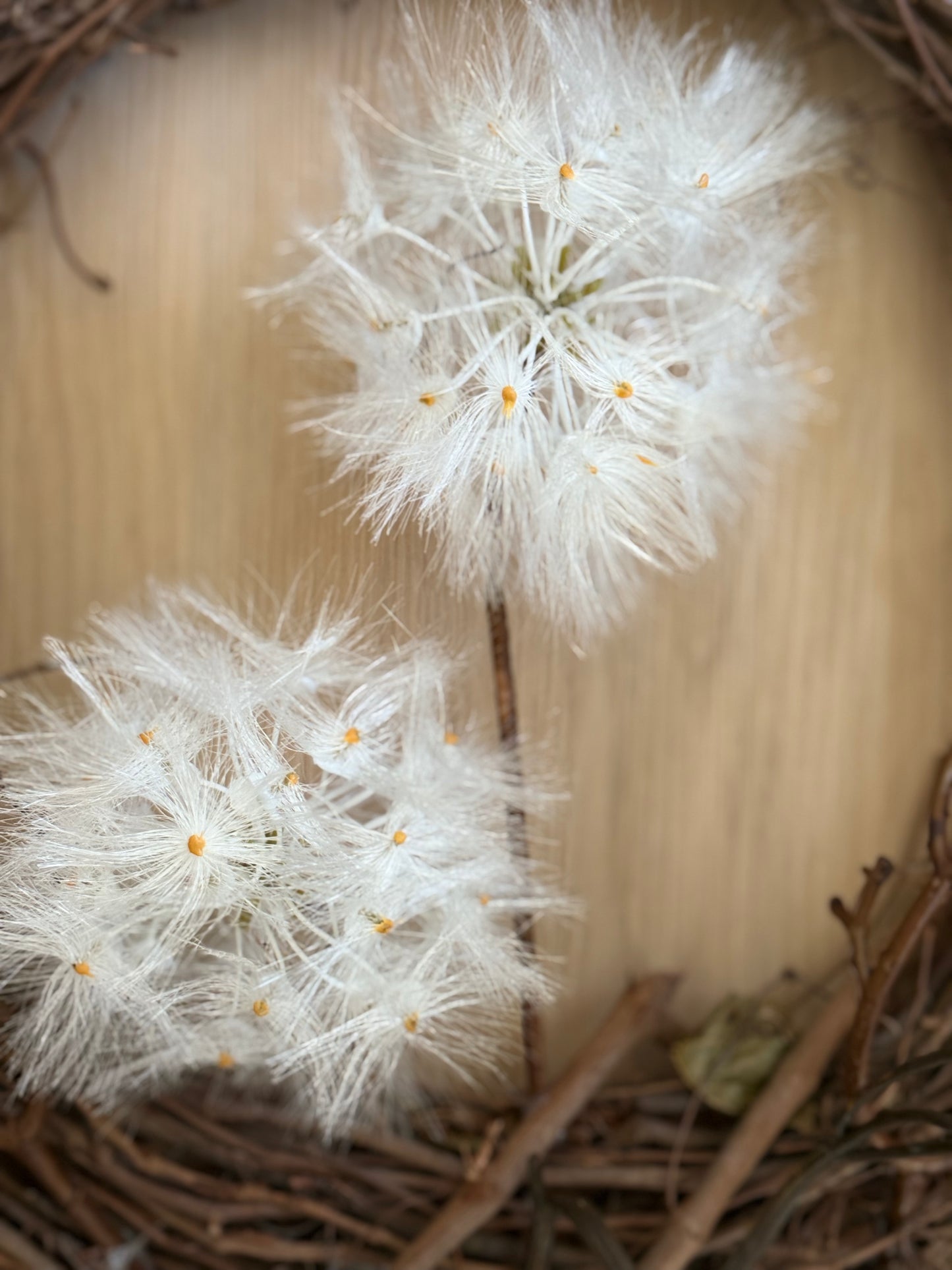 Windy Wreath