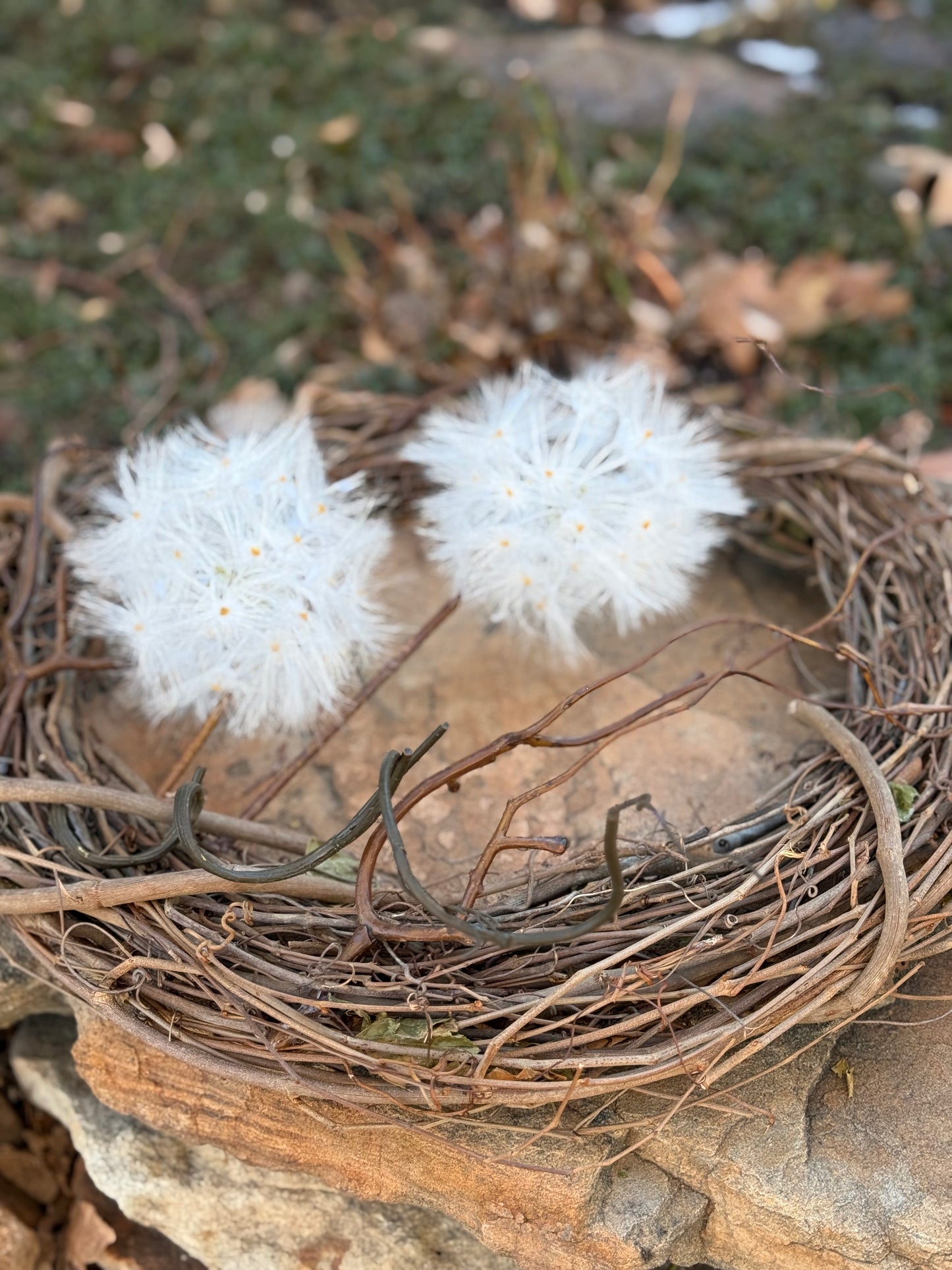 Windy Wreath