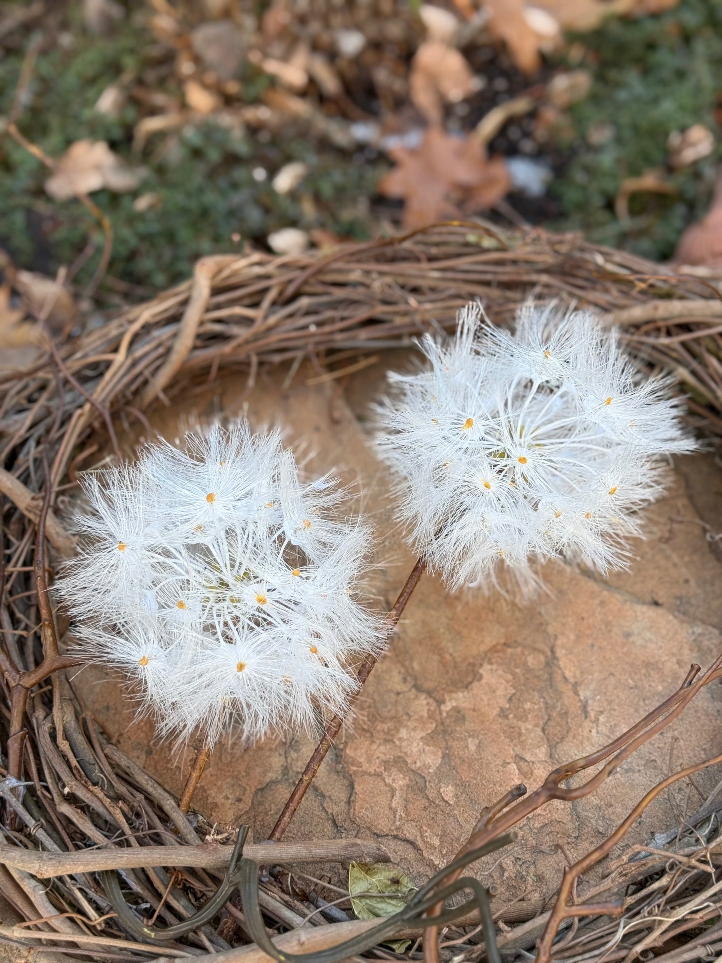 Windy Wreath